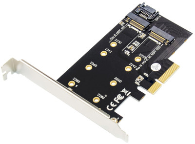 DIGITUS Carte Add-On M.2 NGFF/NVMe SSD PCI Express 3.0 (x4)