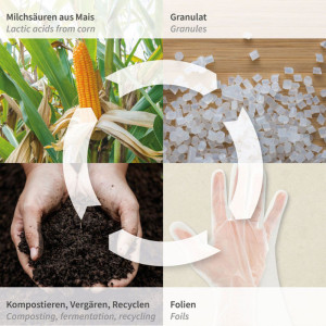 NATURE Star Gants bio 