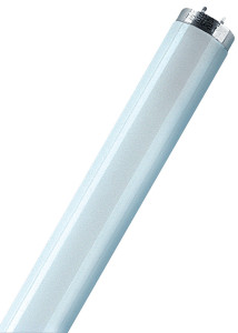 OSRAM Ampoule fluorescente LUMILUX T8, 18 Watt, G13 (840)