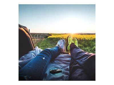 TP-Link : 4G LTE MOBILE WI-FI ROUTER 150MBPS 2000 MAH LI-ION batterie