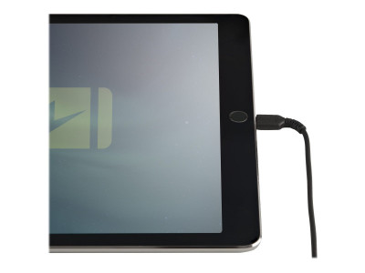 Startech : 30CM USB vers LIGHTNING cable APPLE MFI CERTIFIED - BLACK