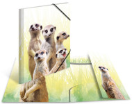 Classeur d'angle HERMA Animaux exotiques, A4, Bande de singes Classeur d'angle HERMA Animaux exotiques, A4, Bande de singes
