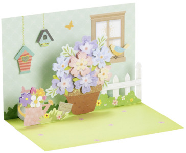 folia Kit de cartes PopUp 3D 