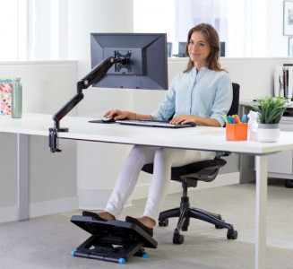 Fellowes Bras porte-écran simple Platinum Series Argent
