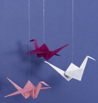 folia Nylonfaden auf Spule, 0,16 mm x 100 m, transparent folia Nylonfaden auf Spule, 0,16 mm x 100 m, transparent