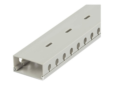 Startech : CHEMIN de CABLES avec SLOTS 2M - 50 X 25MM