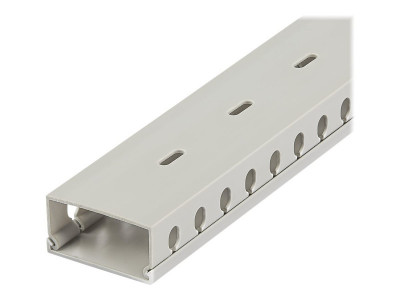 Startech : CHEMIN de CABLES avec SLOTS 2M - 50 X 25MM