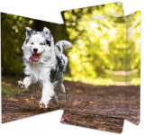 Chemise à dessin « Chevaux libres » RNK Verlag, DIN A3 Chemise à dessin « Chevaux libres » RNK Verlag, DIN A3