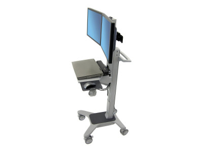 Ergotron : NEO-FLEX DUAL WIDEVIEW WORKSPACE