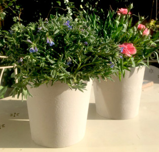 Poétic Pot de fleurs GAIA MARBLED, diam: 150 mm, terracotta