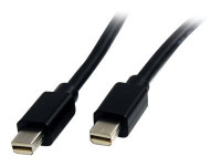 Startech : 1M MINI DISPLAYPORT cable - M/M