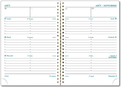 EXACOMPTA Agenda semainier de bureau SAD 19W, 2018/2019
