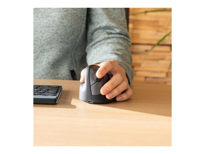 R-Go Tools R-Go HE Mouse, Souris ergonomique Gaucher, sans fil Grand
