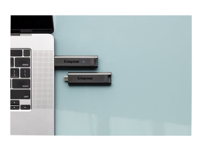 Kingston : 1TB USB 3.2 DATATRAVELER MAX GEN 2