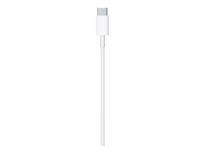 Apple : USB-C TO LIGHTNING cable (2 M)