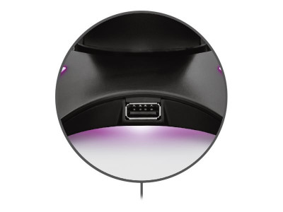 Trust : CINTAR RGB GAMING STAND pour HEADSET avec 2 USB PORTS