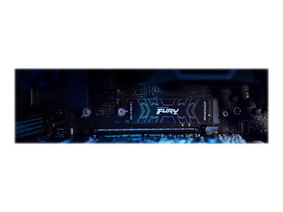 Kingston : 1000G FURY RENEGADE M.2 2280 PCIE 4.0 NVME SSD