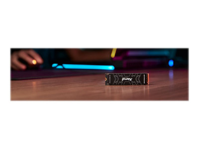 Kingston : 1000G FURY RENEGADE M.2 2280 PCIE 4.0 NVME SSD