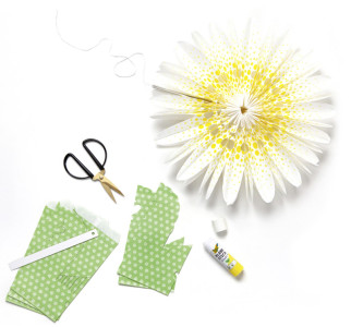 folia Sachets en papier fleurs DAISY LOVE