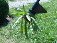 Garten PRIMUS Désherbeur manuel, noir/orange