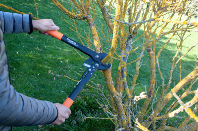 Garten PRIMUS Coupe-branches pour dames Dual-Cut, 420 mm