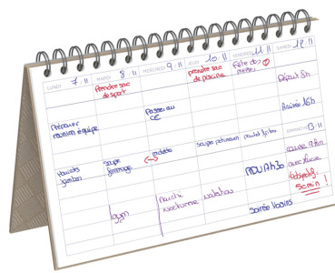 LECAS Agenda DESK PLANNER, perpétuel, 240 x 140 mm