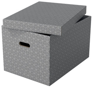 Esselte Boîte de rangement Home M, set de 3, gris