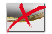 DONIC SCHILDKRÖT Raquette de ping-pong Protection Line S300 DONIC SCHILDKRÖT Raquette de ping-pong Protection Line S300