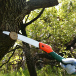 TerCasa Klappsäge mit Softgripgriff, Blattlänge: 230 mm TerCasa Klappsäge mit Softgripgriff, Blattlänge: 230 mm