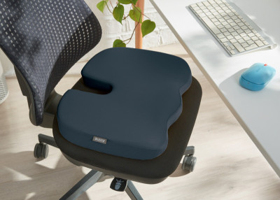 LEITZ Coussin d'assise Ergo Cosy, bleu