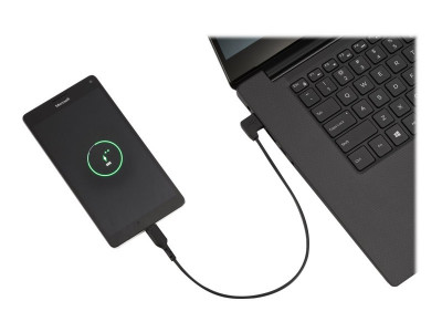 Kensington : CHARGE / SYNC USB-A TO USB-C cable (5 PACK)