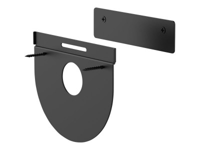 Logitech : TAP WALL MOUNT - NA - WW