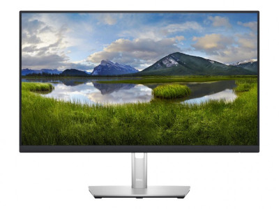 Dell : DELL 24 USB-C HUB MONITOR - P2423DE -60.5CM 23.8IN