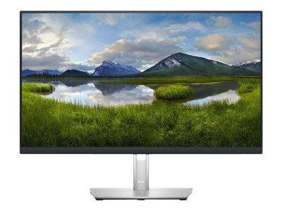 Dell : DELL 24 USB-C HUB MONITOR - P2423DE -60.5CM 23.8IN