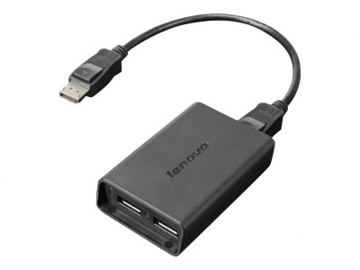 Lenovo : LENOVO DISPLAYPORT TO DUAL DISPLAYPORT cable