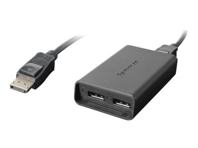 Lenovo : LENOVO DISPLAYPORT TO DUAL DISPLAYPORT cable