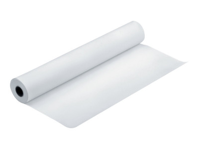 Epson : PHOTO papier ROLL PREMIUM GLOSSY 44CM X 30.5M 260G/M2