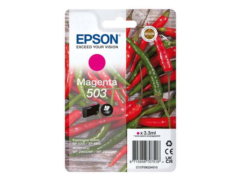 Epson : SINGLEpack MAGENTA 503 encre