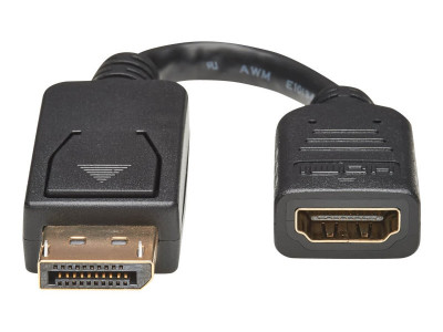 Eaton MGE : DISPLAYPORT TO DVI ADAPTER 15.2CM