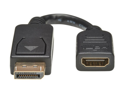 Eaton MGE : DISPLAYPORT TO DVI ADAPTER 15.2CM