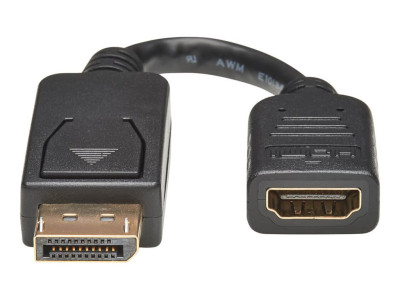 Eaton MGE : DISPLAYPORT TO DVI ADAPTER 15.2CM