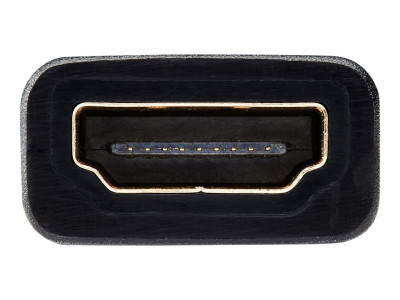 Eaton MGE : DISPLAYPORT TO DVI ADAPTER 15.2CM