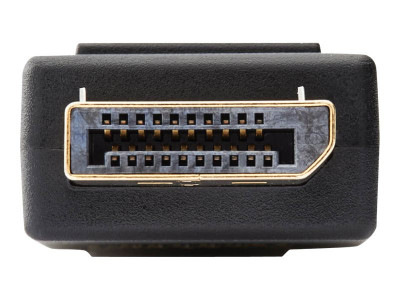 Eaton MGE : DISPLAYPORT TO DVI ADAPTER 15.2CM