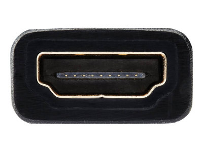 Eaton MGE : DISPLAYPORT TO DVI ADAPTER 15.2CM
