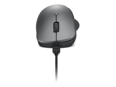 Lenovo : PROFESSIONAL BLUETOOTH RECHARGEABLE MOUSE