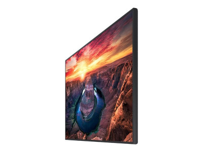 Samsung : LFD QM55B 55IN 4K UHD 3840X2160 WIFI ETHERNET TOUCH CAPACITIVE