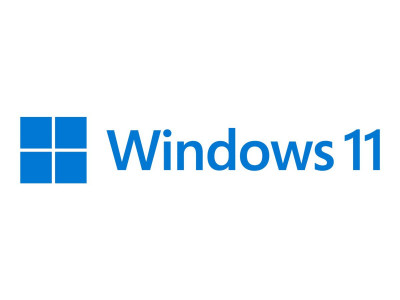 Microsoft : WIN PRO N 11