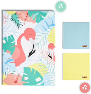 BIC Kit de dessin 