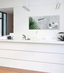 sigel Tableau magnétique en verre artverum Botanic, (L)910 sigel Tableau magnétique en verre artverum Botanic, (L)910