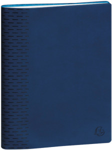 EXACOMPTA Agenda de bureau 